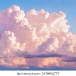 2025059期福彩开奖结果最新公布 15tswzi