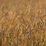 3地开奖108期开奖号码公布,最新结果已出炉 163rnvu6p