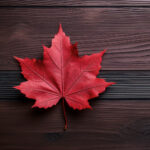 2025058期开奖号码最新公布与详细解析 1q2ik9ya