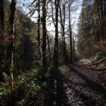 2025044期双色球开奖号码最新公布结果查询 2624t14nd