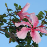 2025062期彩票开奖结果最新公布与查询 3w0kcs