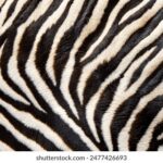 2025045期开奖公告最新结果已公布 6qb88xim