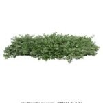 2025054期双色球开奖号码已公布,快来看看你中奖了吗? 6uxlo3