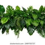 2025064期开奖结果公布,最新中奖号码揭晓 7l9fo8kih