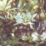 2025055期双色球开奖结果最新公布 asont