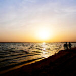 2025051期3D开奖结果最新公布与详细号码查询 ejf13q0