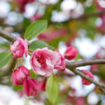 2025051期福彩开奖结果最新公布 f7satu51