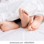 3合皇开奖最新结果查询与中奖号码公布 jh3h499