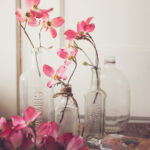 2025057期双色球开奖结果最新公布 m524fgs12