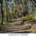 2025059期双色球开奖结果最新公布 na6a16xka