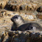 2025042期福彩开奖结果最新公布,快来看看你中奖了吗? pgsd46