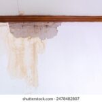 2025044期彩票开奖结果最新公布查询 qzp3jdi