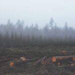 2025053期双色球开奖号码正式公布 t65ez3